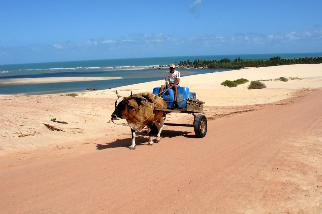 Pousada Barra Do Mundaú Екстериор снимка