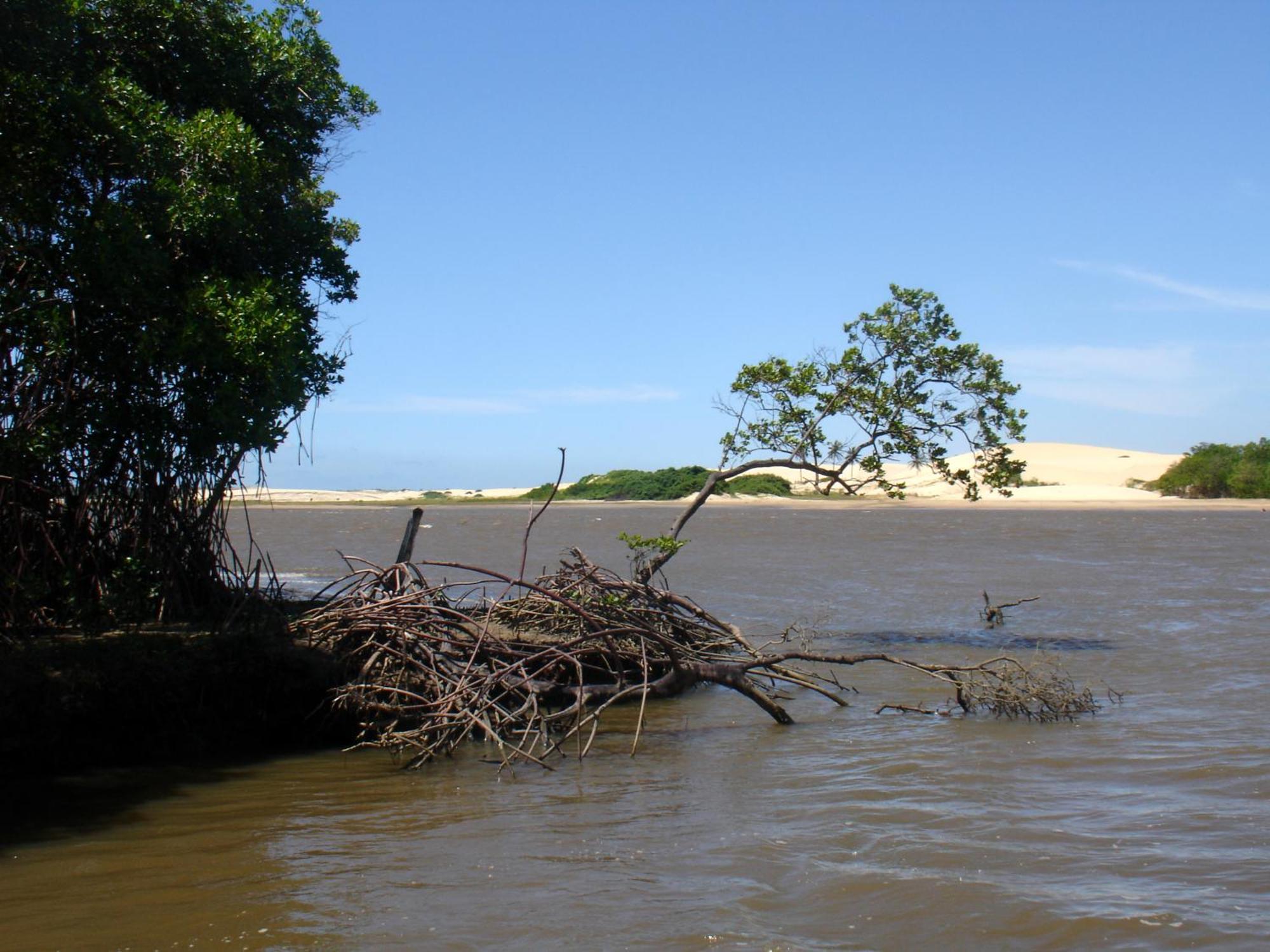 Pousada Barra Do Mundaú Екстериор снимка