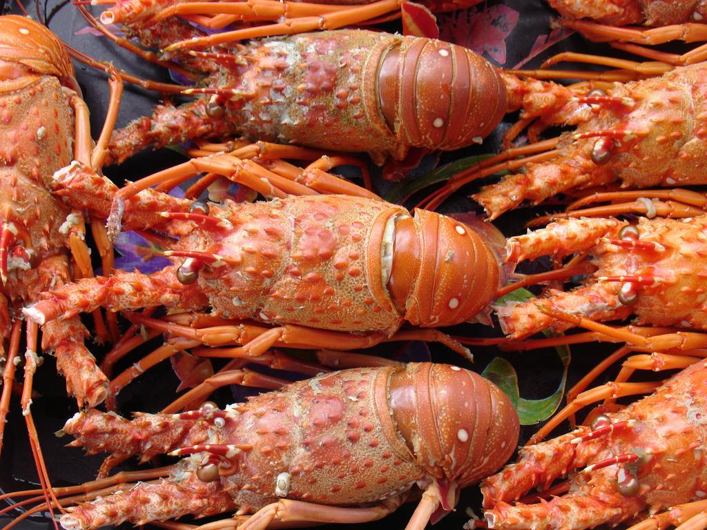 Pousada Barra Do Mundaú Екстериор снимка